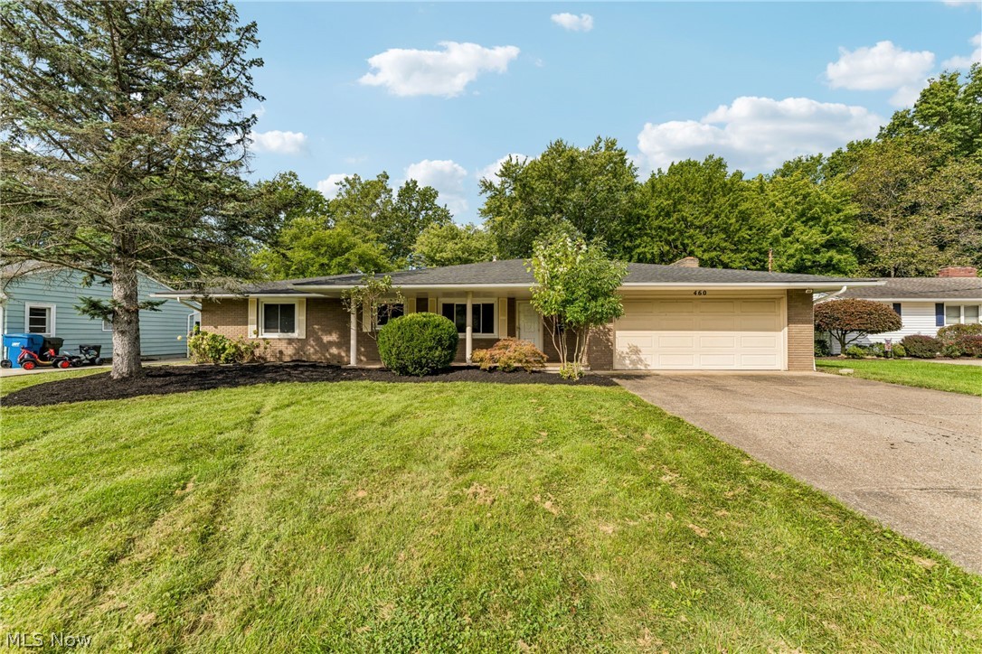 460 Long Street Amherst OH 44001