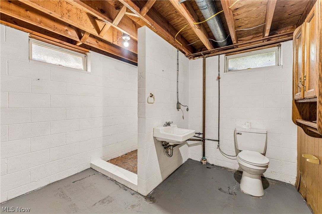 460 Long Street Amherst OH 44001