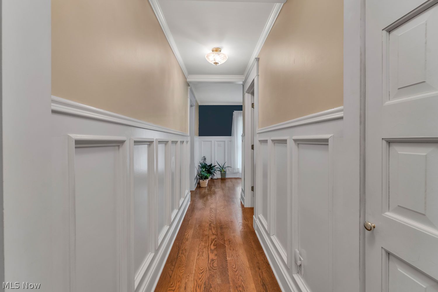 231 S Broad Street Canfield OH 44406