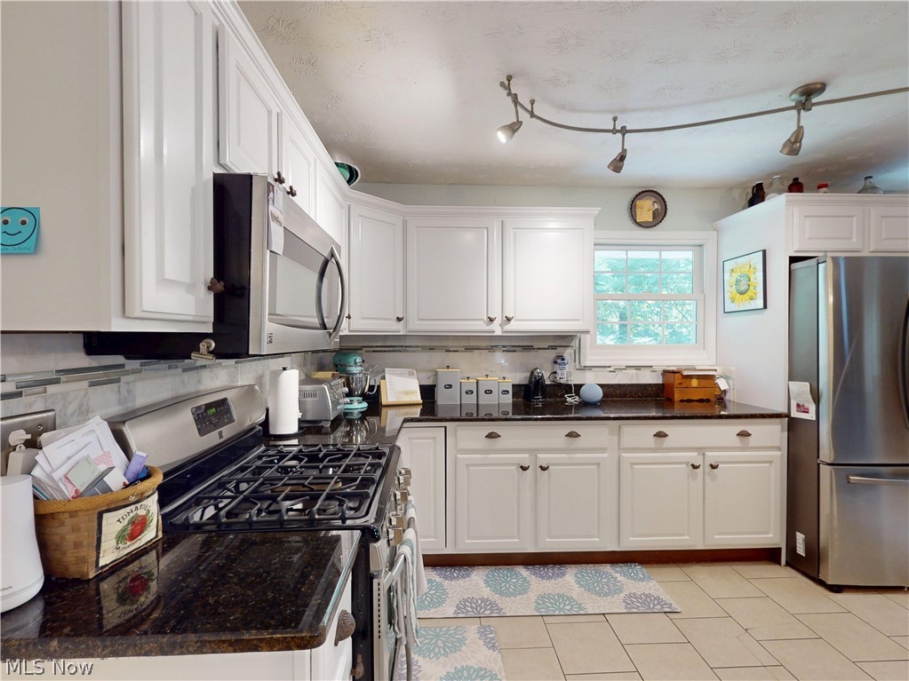1083 Dock Road Madison OH 44057
