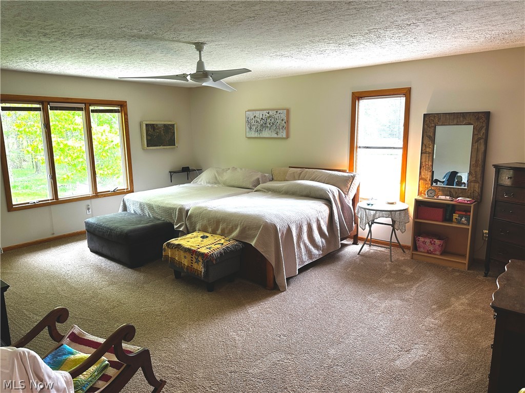391 Centennial Drive Vienna OH 44473