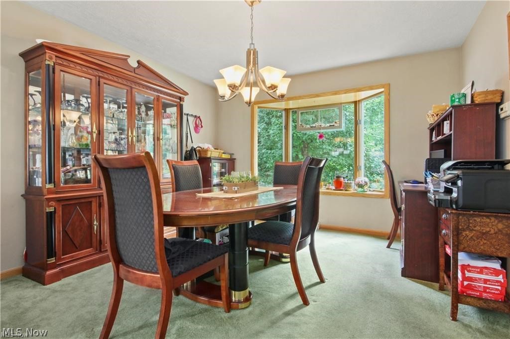 391 Centennial Drive Vienna OH 44473