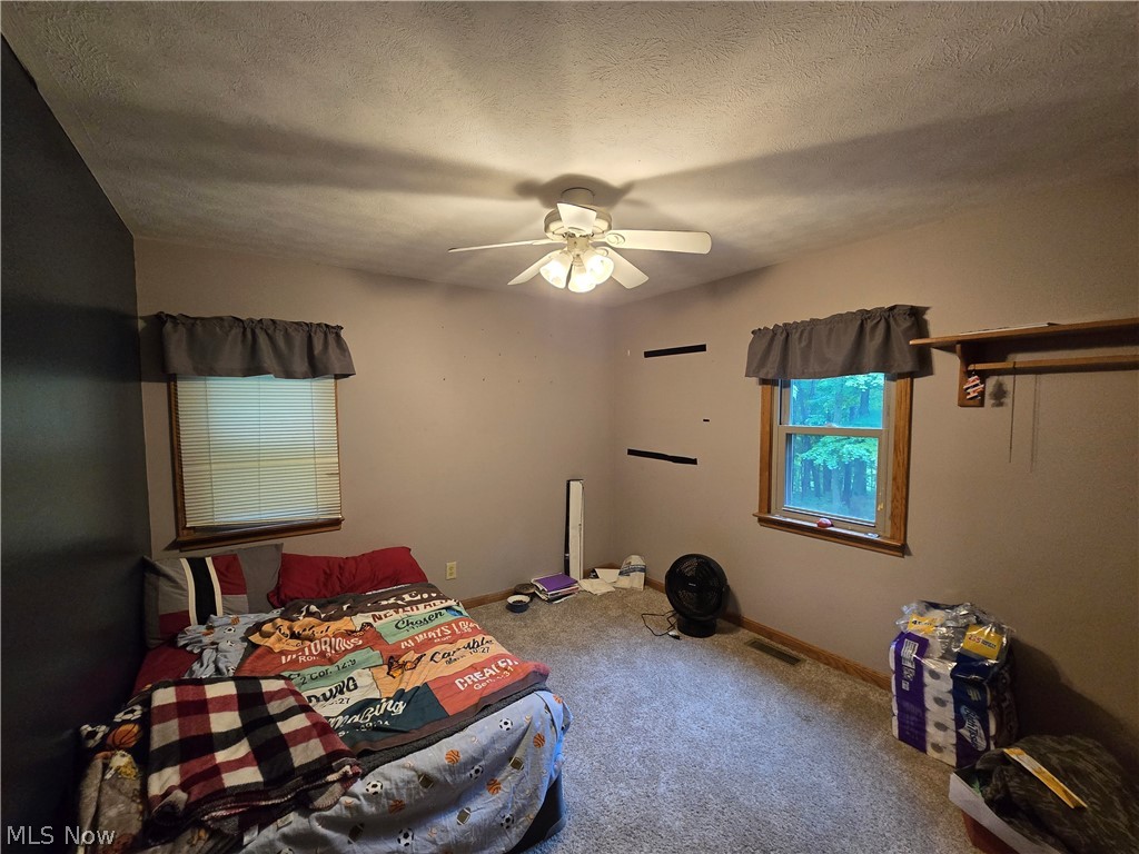 5209 Hanson Hill Road Stockport OH 43787