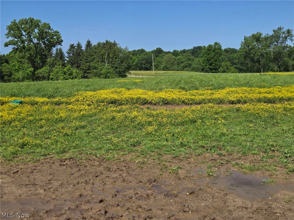 5209 Hanson Hill Road Stockport OH 43787
