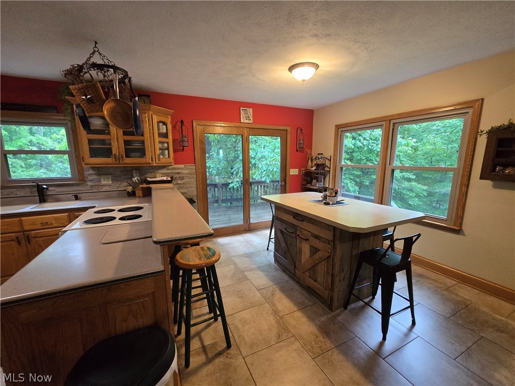 5209 Hanson Hill Road Stockport OH 43787
