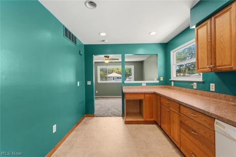 4807 Willowbrook Drive Mentor OH 44060