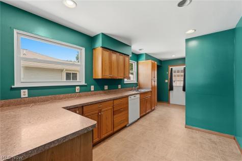4807 Willowbrook Drive Mentor OH 44060