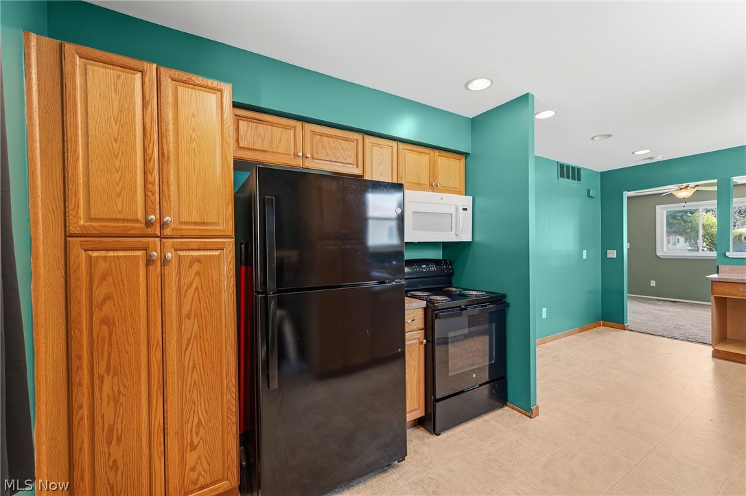 4807 Willowbrook Drive Mentor OH 44060