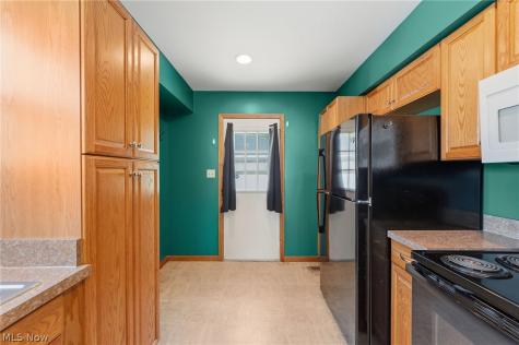 4807 Willowbrook Drive Mentor OH 44060
