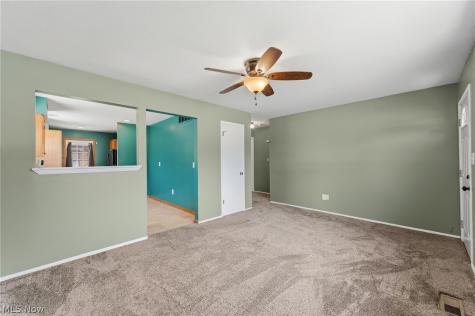 4807 Willowbrook Drive Mentor OH 44060