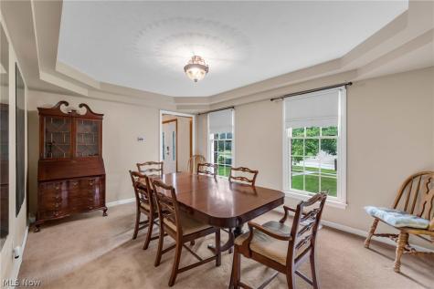 1010 Partridge Drive Wadsworth OH 44281
