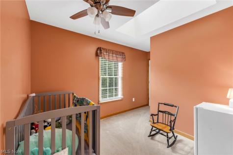 1010 Partridge Drive Wadsworth OH 44281