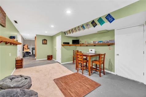 1010 Partridge Drive Wadsworth OH 44281