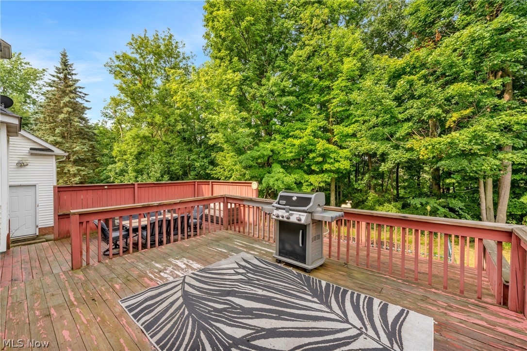 1010 Partridge Drive Wadsworth OH 44281