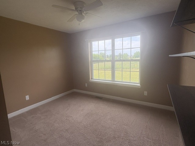 8943 County Road 39 Bloomingdale OH 43910