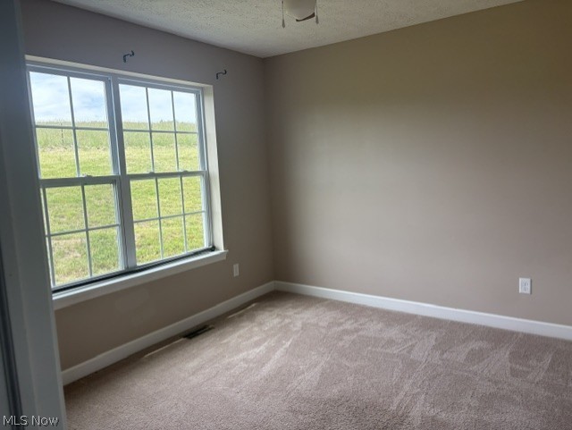 8943 County Road 39 Bloomingdale OH 43910