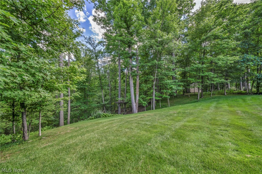 8536 Timber Trail Brecksville OH 44141