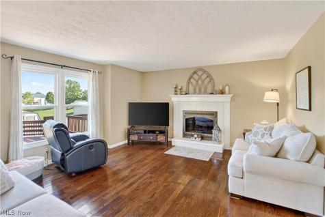 5175 Sassafras Drive Medina OH 44256
