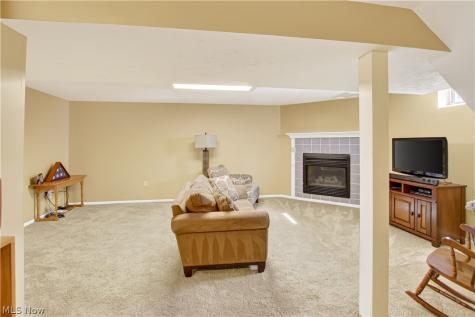 5175 Sassafras Drive Medina OH 44256