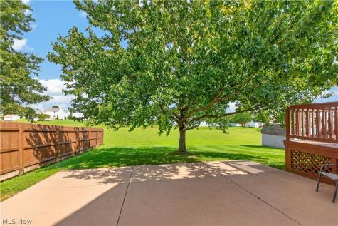 5175 Sassafras Drive Medina OH 44256