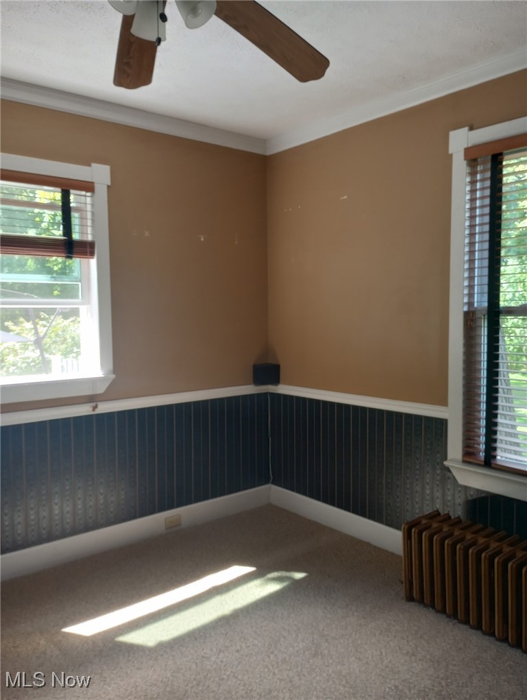 149 Morgan Street Oberlin OH 44074