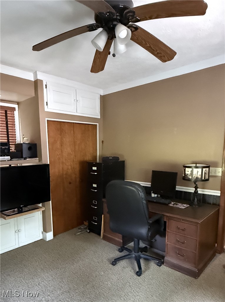 149 Morgan Street Oberlin OH 44074