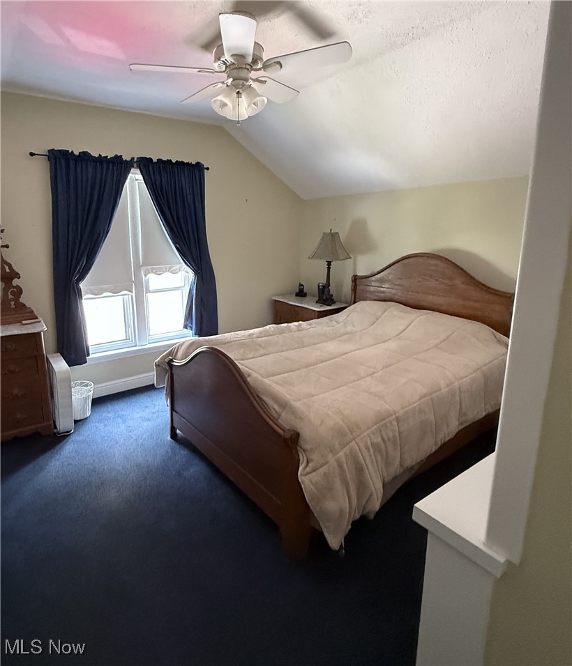 149 Morgan Street Oberlin OH 44074