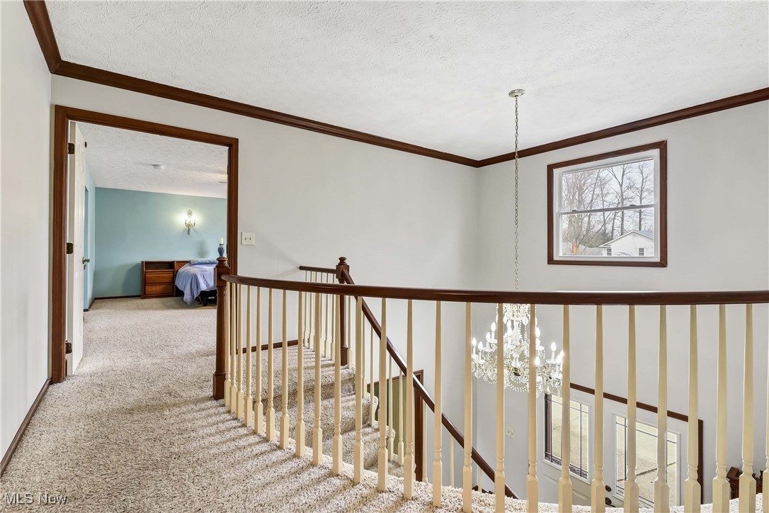 3984 Deepwoods Way North Olmsted OH 44070