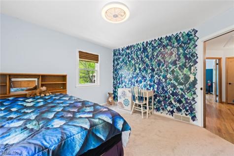 107 Hilltop Drive Amherst OH 44001
