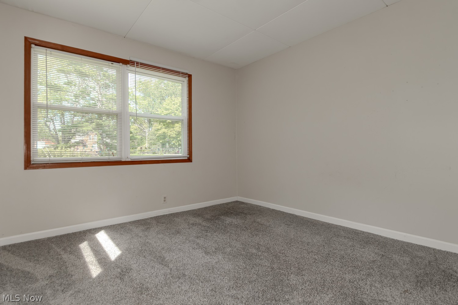 38654 Ninadell Avenue Willoughby OH 44094