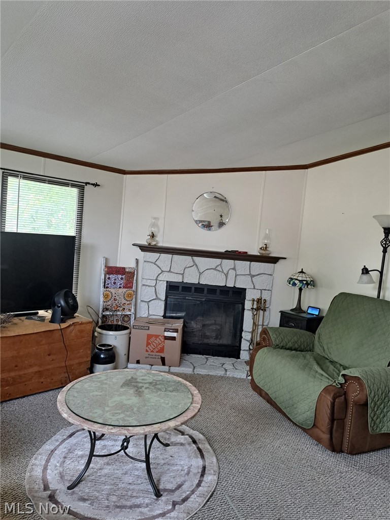 7 Westwoods Amherst OH 44001