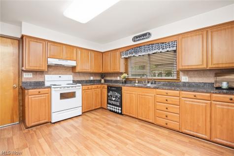 102 Young Drive Lodi OH 44254