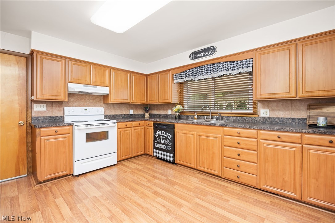 102 Young Drive Lodi OH 44254