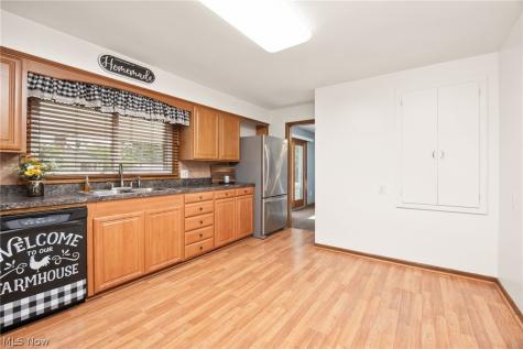 102 Young Drive Lodi OH 44254