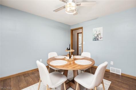 102 Young Drive Lodi OH 44254