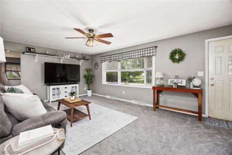 102 Young Drive Lodi OH 44254