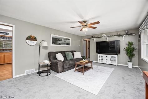 102 Young Drive Lodi OH 44254