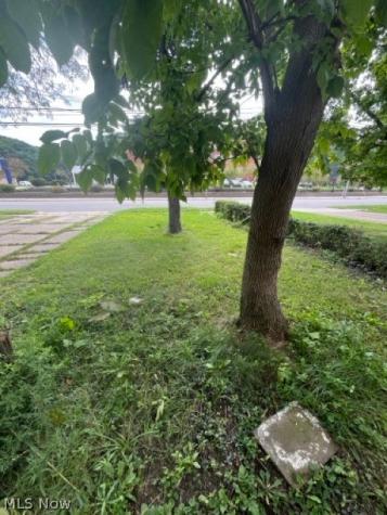 24971 Euclid Avenue Euclid OH 44117