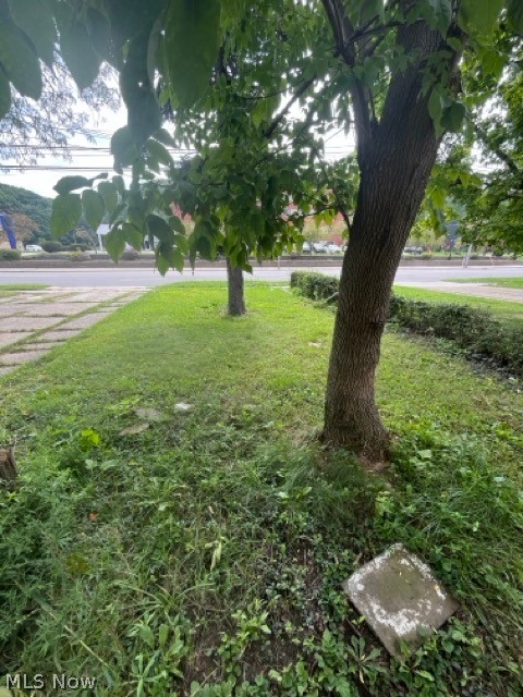 24971 Euclid Avenue Euclid OH 44117