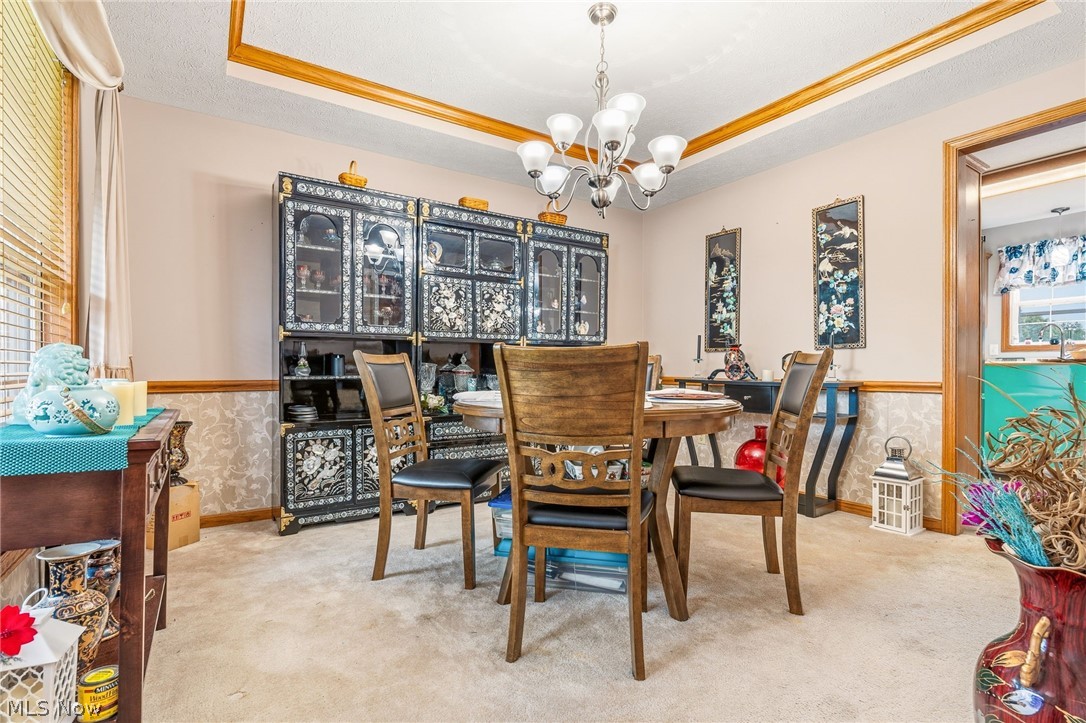 803 Collins Pond Drive Ravenna OH 44266