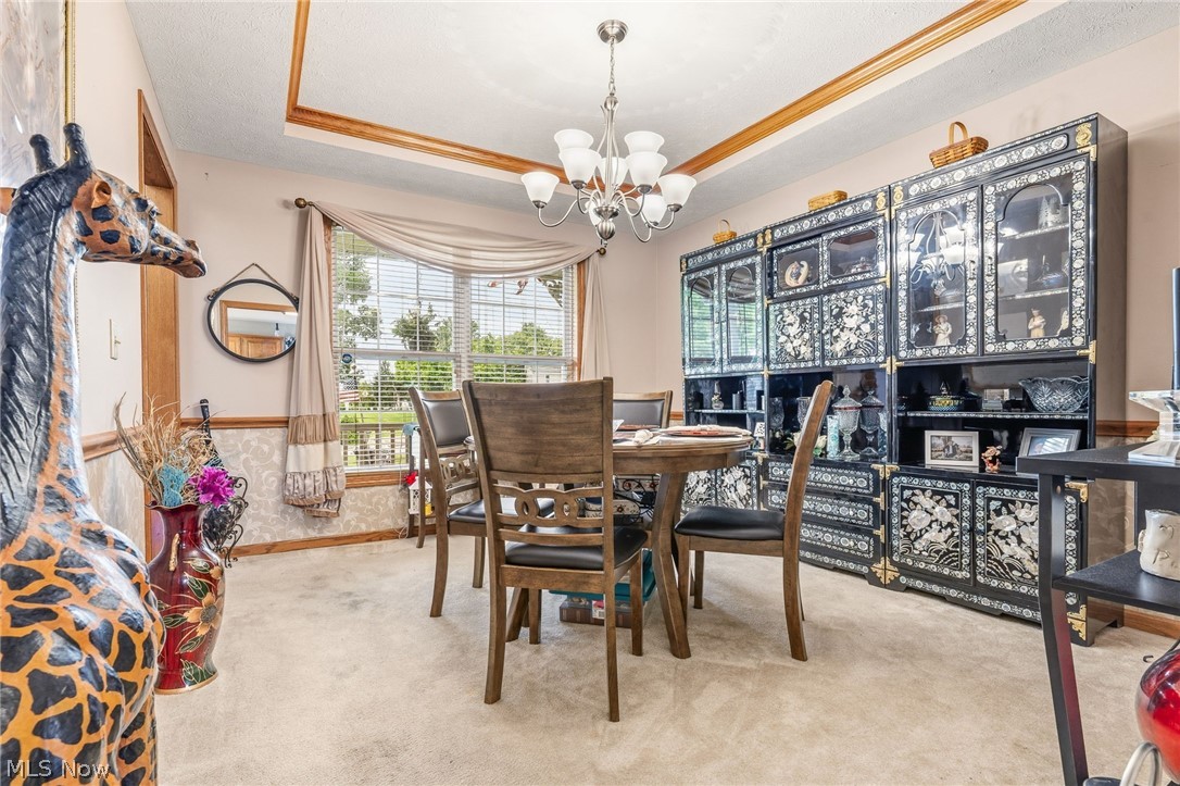 803 Collins Pond Drive Ravenna OH 44266