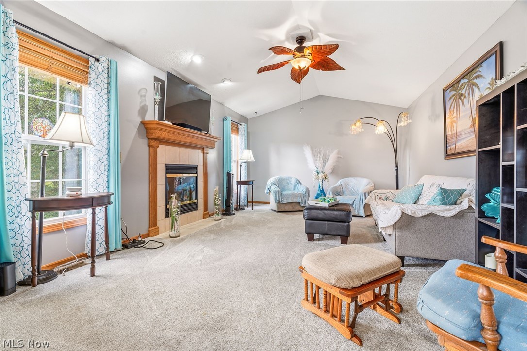 803 Collins Pond Drive Ravenna OH 44266