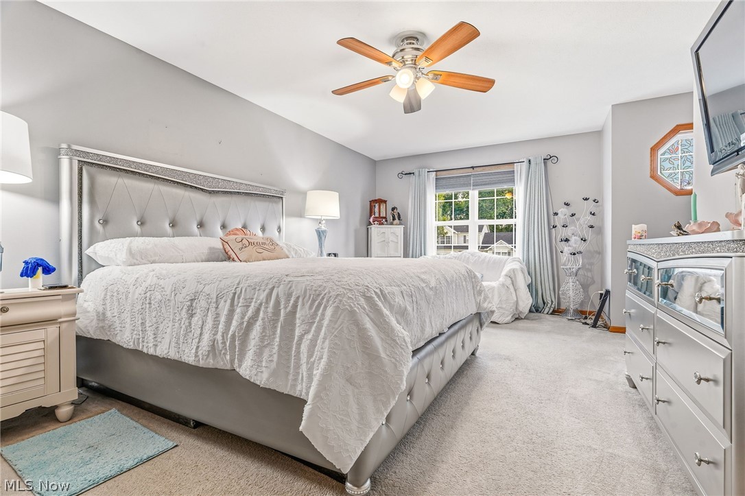 803 Collins Pond Drive Ravenna OH 44266