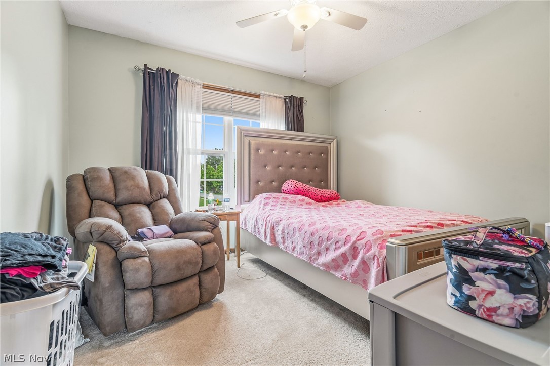 803 Collins Pond Drive Ravenna OH 44266