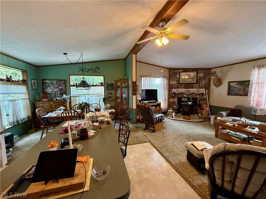 16029 Township Road 289 Coshocton OH 43811