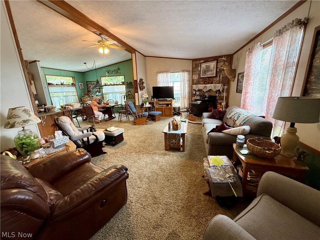 16029 Township Road 289 Coshocton OH 43811