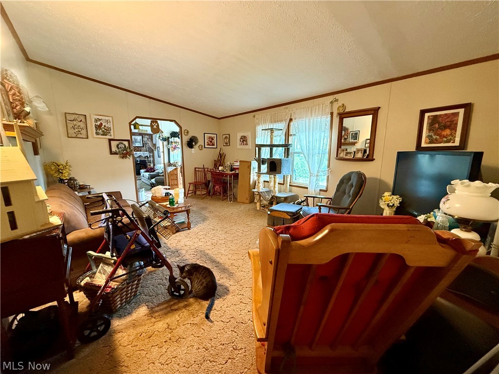 16029 Township Road 289 Coshocton OH 43811