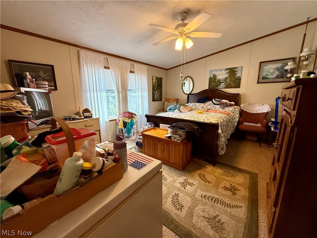 16029 Township Road 289 Coshocton OH 43811
