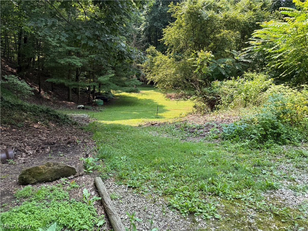 16029 Township Road 289 Coshocton OH 43811