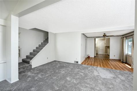 1253 Dietz Avenue Akron OH 44301
